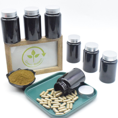 Ajuga Turkestanica извлекает капсулы 500mg 10% Turkesterone для дополнения мышц