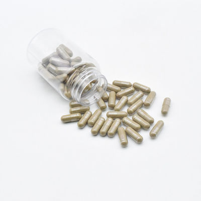 Дополнения Turkesterone здания тела дополняют капсулы Turkesterone Ajuga 500mg