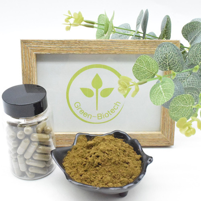 порошок Turkesterone выдержки Turkestanica Ajuga 2% 10% высококачественный 100% естественный Turkesterone