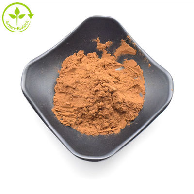 Высококачественный желтый коричневый чистый экстракт из цветка дикой хризантемы 20:1