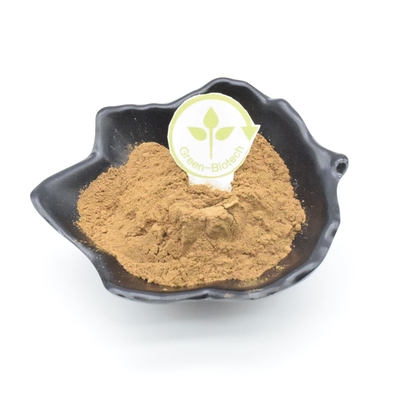 Культуризм выдержки Turkest Ajuga 2%