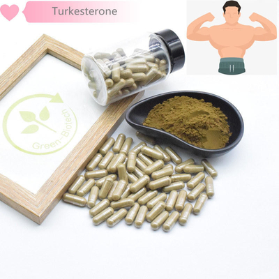выдержки завода 500mg Turkestanica естественные