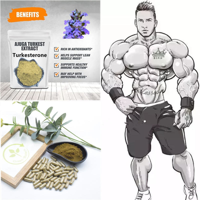 выдержки завода 500mg Turkestanica естественные