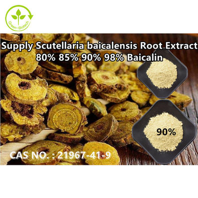 Зеленая выдержка Baicalin 80% 85% 90% 98% CAS тюбетейки Baical особой чистоты поставки Biotech НЕТ: 21967-41-9