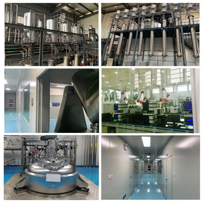 Зеленая выдержка Baicalin 80% 85% 90% 98% CAS тюбетейки Baical особой чистоты поставки Biotech НЕТ: 21967-41-9