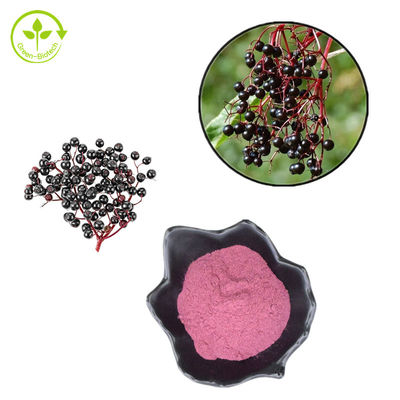 порошок 25kg/Drum состава выдержки Elderberry 1% до 25% для здорового продукта заботы