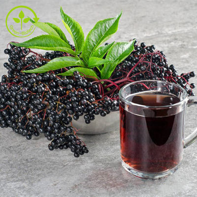 порошок 25kg/Drum состава выдержки Elderberry 1% до 25% для здорового продукта заботы
