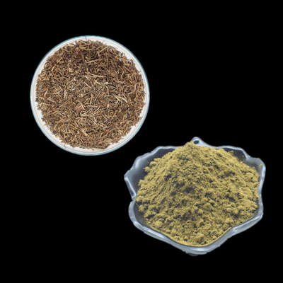 Ajuga Turkestanica извлекает травяной порошок Turkesterone порошка выдержки дополняет 2% 10% 20%