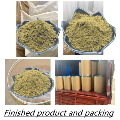 Ajuga Turkestanica извлекает травяной порошок Turkesterone порошка выдержки дополняет 2% 10% 20%