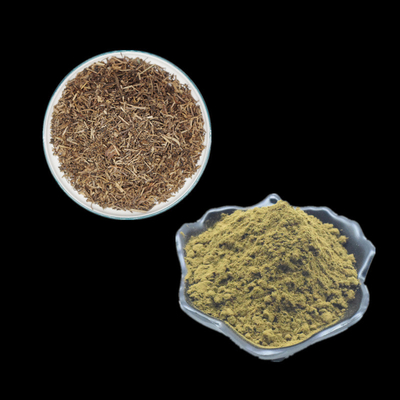 Чистый Ajuga Turkestanica извлекает пользу порошка 2% 10% Turkesterone для культуризма