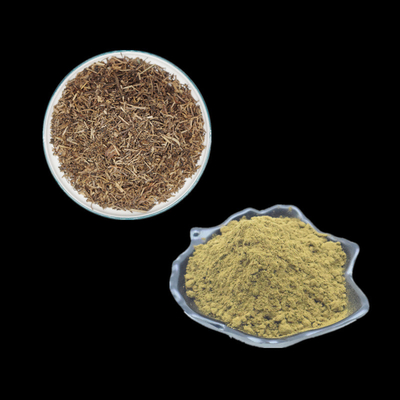 Ajuga Turkestanica дополнения порошка выдержки 2% 10% 20% 40% Turkesterone