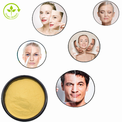 Порошок Spermidine Trihydrochloride CAS 334-50-9 Spermidine поставки фабрики