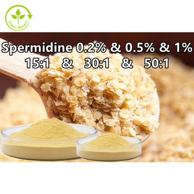 Дополнение Spermidine еды порошка спермина выдержки семенозачатка пшеницы 0,1% 0,5% 1%