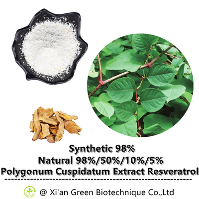 Выдержка корня Cuspidatum Polygonum порошка Транс-Resveratrol 99%