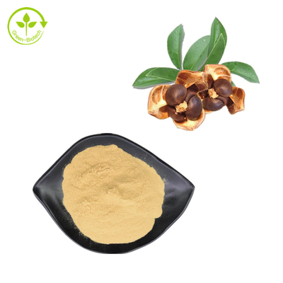 Порошок выдержки семени Japonica камелии сапонина чая 60% для добавки питания