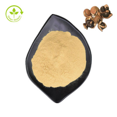 Естественный сапонин чая выдержки 98% семени Sinensis камелии для еды