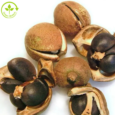 Сапонин чая выдержки семени Sinensis камелии пудрит 50% 60% 70% 80% 85% 90% 95% 98%