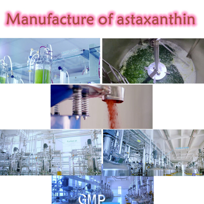 Противоокислительн дополнения порошка астаксантина выдержки 10% Pluvialis Haematococcus