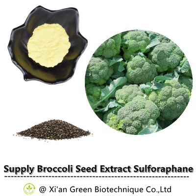 Порошок CAS 21414-41-5 13% Glucoraphanin Glucosinolate Sulforaphane выдержки семени брокколи