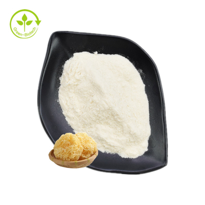 Полисахариды выдержки Fuciformis Tremella пудрят 30% - 50%