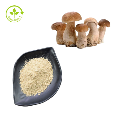 Порошок полисахарида выдержки 30% подосиновика короля Bolete Извлечения качества еды Edulis