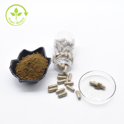 Капсулы 500mg Turkesterone Ajuga метки частного назначения порошка Turkesterone 40% оптовой продажи фабрики чистые