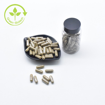 Капсулы 500mg Turkesterone Ajuga метки частного назначения порошка Turkesterone 40% оптовой продажи фабрики чистые
