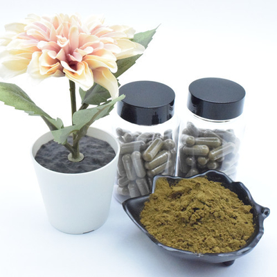 Выдержка Turkestanica Ajuga выдержки завода пудрит капсулы 40% 500mg/60caps/Bottle Turkesterone