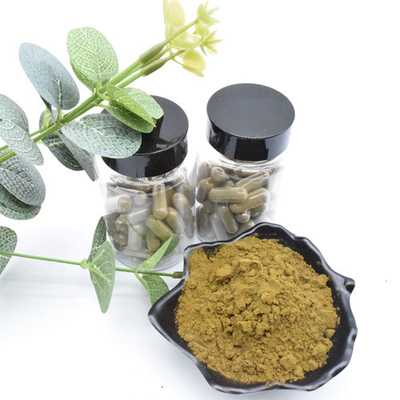 Травяной Ajuga Turkestanica выдержки извлекает порошок Turkesterone