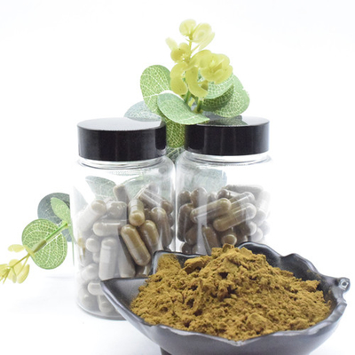 Травяной Ajuga Turkestanica выдержки извлекает порошок Turkesterone