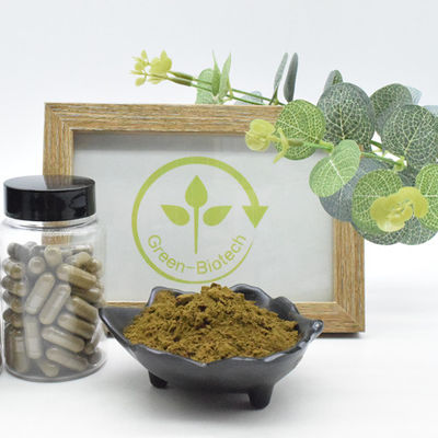 Выдержка Turkestanica Ajuga порошка 2% 10% 40% 100% естественная Turkesterone