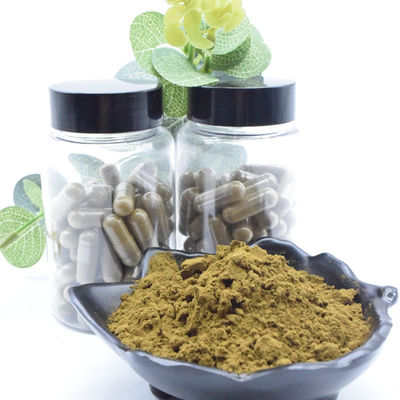 Выдержка Turkestanica Ajuga порошка 2% 10% 40% 100% естественная Turkesterone
