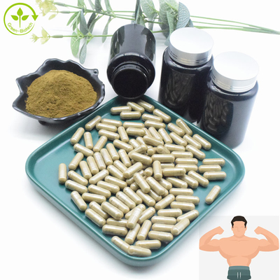 Порошок Turkesterone выдержки выдержки оптовый оптовый 2% 10% CAS 41451-87-0 Turkesterone Turkestanica Ajuga