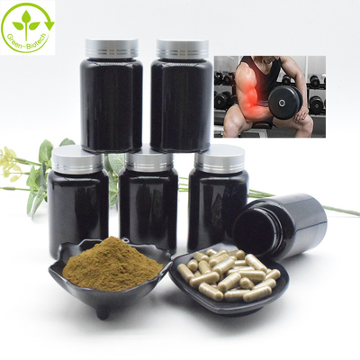 Порошок Turkesterone выдержки выдержки оптовый оптовый 2% 10% CAS 41451-87-0 Turkesterone Turkestanica Ajuga