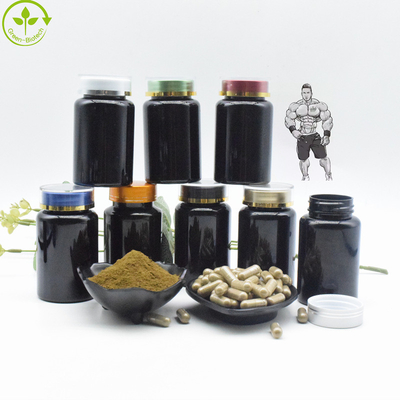 Естественная органическая выдержка Turkestanica Ajuga пудрит капсулы 10% Turkesterone