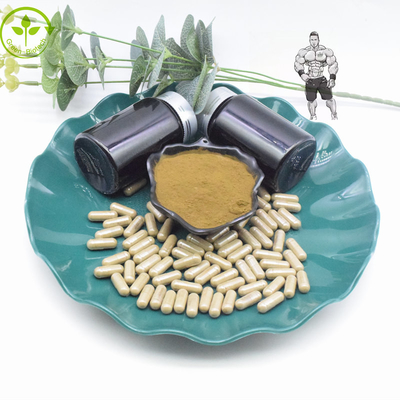 Чистые капсулы порошка 800mg 1000mg Turkesterone выдержки 10% 40% Turkesterone
