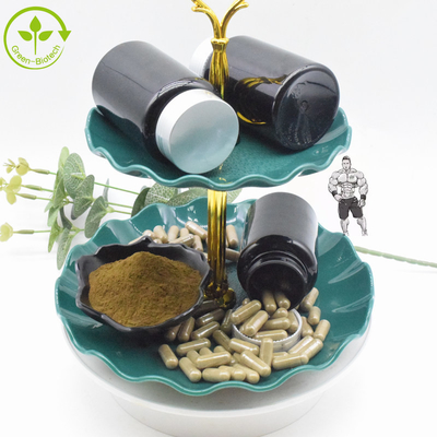Ajuga Turkestanica дополнения еды извлекает порошок 10% 20% Turkesterone