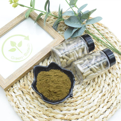 Ajuga Turkestanica дополнения еды извлекает порошок 10% 20% Turkesterone