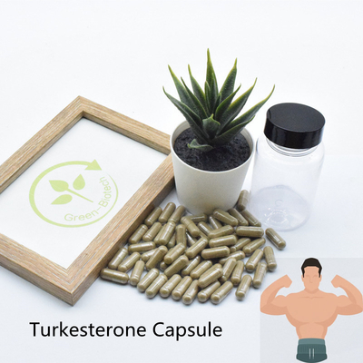 Порошок выдержки Turkesterone Ajuga Turkesterone высококачественный