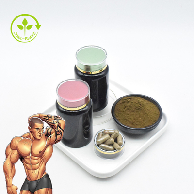 Ajuga Turkestanica 100% естественный извлекает порошок Turkesterone капсул Turkesterone 10% чистый