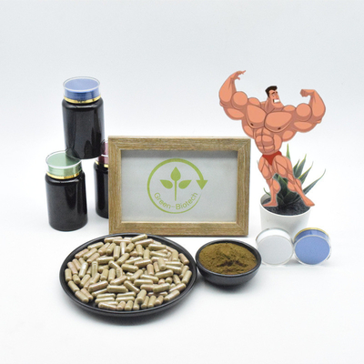 Ajuga Turkestanica 100% естественный извлекает порошок Turkesterone капсул Turkesterone 10% чистый