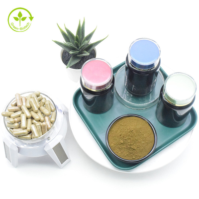 Ajuga Turkestanica оптовой цены поставки фабрики сразу извлекает порошок Turkesterone