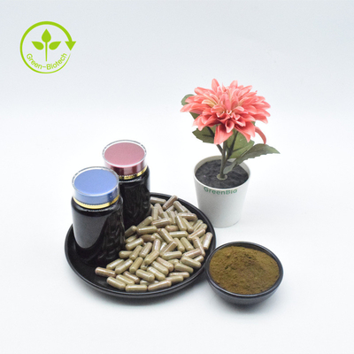 Естественный Ajuga Turkestanica Turkesterone чистый извлекает порошок 2% Turkesterone