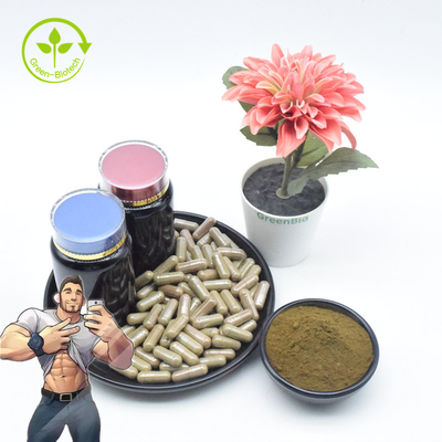 Ajuga Turkestanica дополнения чистый извлекает оптовый порошок 2% 10% Turkesterone