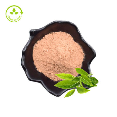 Оптовая продажа Theanine фабрики пудрит дополнение аминокислоты выдержки зеленого чая зеленых цветов порошка 99% L-Theanine