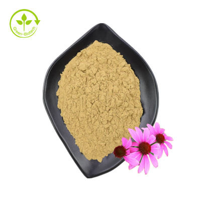 Стандарт GMP Высококачественные полифенолы Echinacea Purpurea Powder Экстракт эхинацеи пурпурной
