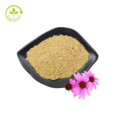 Стандарт GMP Высококачественные полифенолы Echinacea Purpurea Powder Экстракт эхинацеи пурпурной