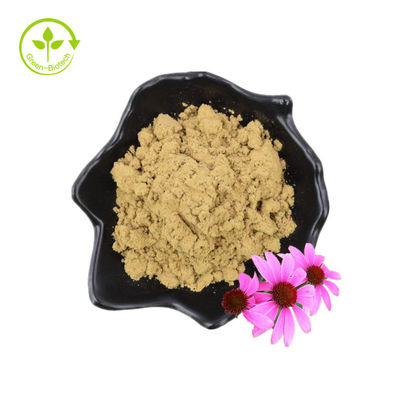Массовый натуральный экстракт эхинацеи Экстракт эхинацеи пурпурной