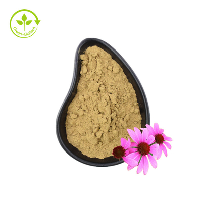 Экстракт органического эхинацеи Purpurea экстракт корня эхинацеи