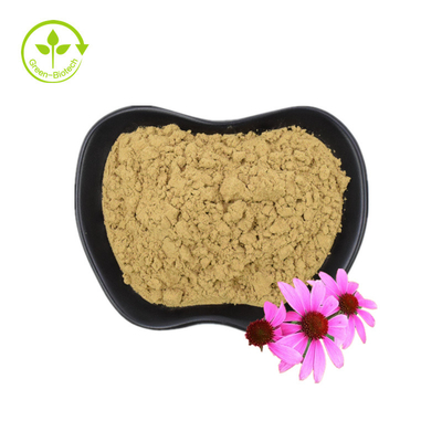 Экстракт органического эхинацеи Purpurea экстракт корня эхинацеи